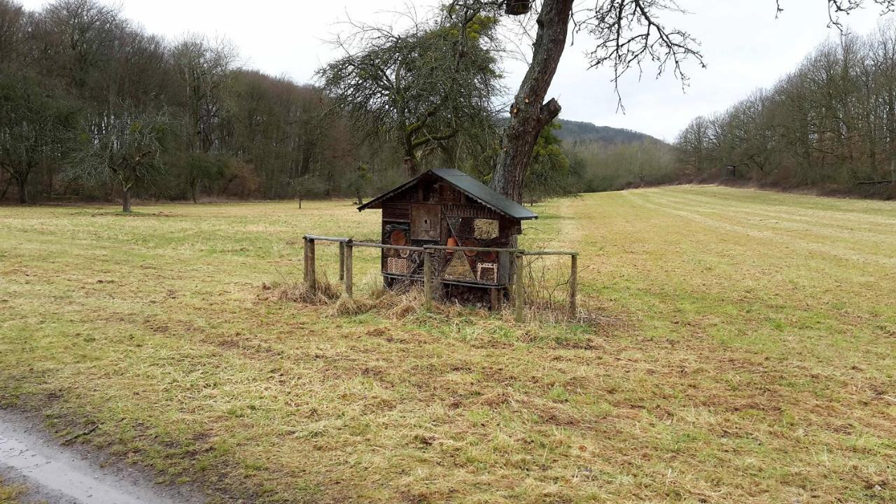 Haus Mit Seele Im Nahetal Weinsheim  Bagian luar foto