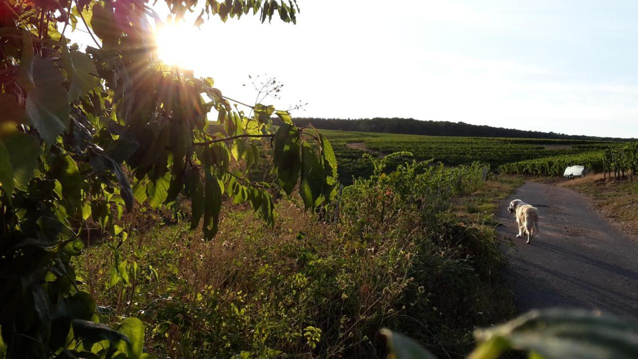 Haus Mit Seele Im Nahetal Weinsheim  Bagian luar foto