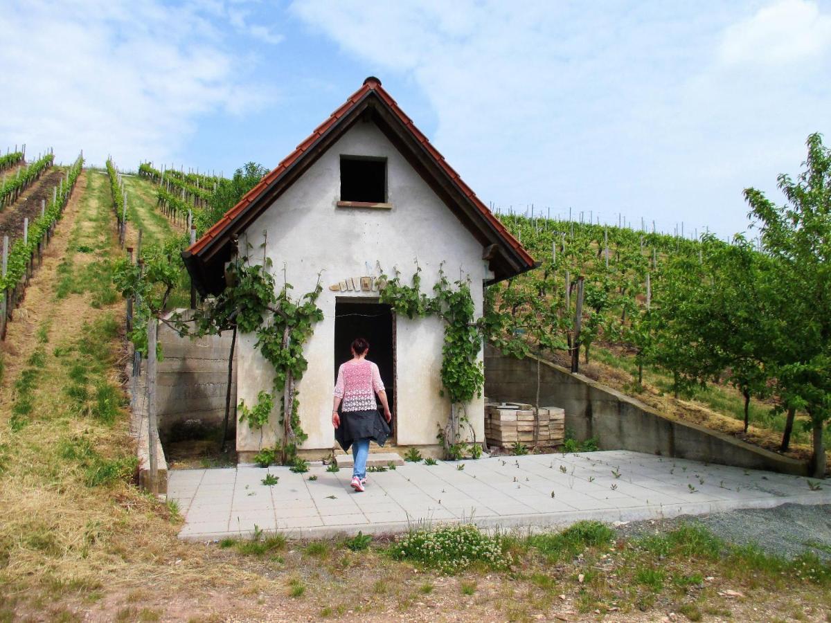 Haus Mit Seele Im Nahetal Weinsheim  Bagian luar foto