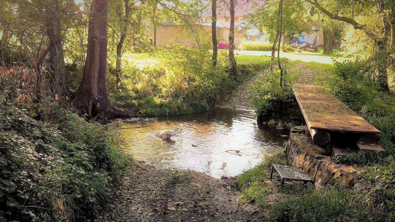Haus Mit Seele Im Nahetal Weinsheim  Bagian luar foto