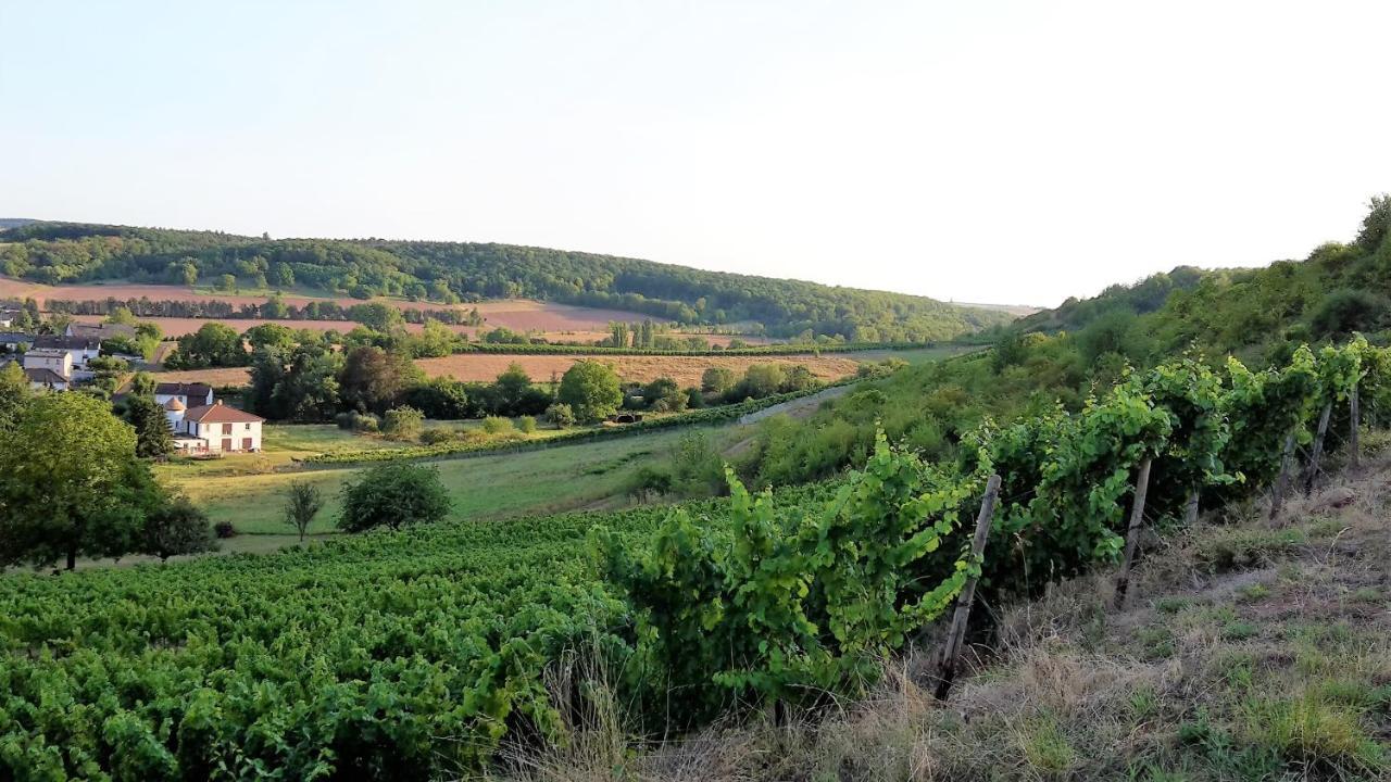 Haus Mit Seele Im Nahetal Weinsheim  Bagian luar foto