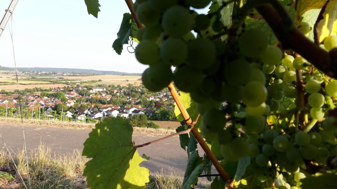 Haus Mit Seele Im Nahetal Weinsheim  Bagian luar foto