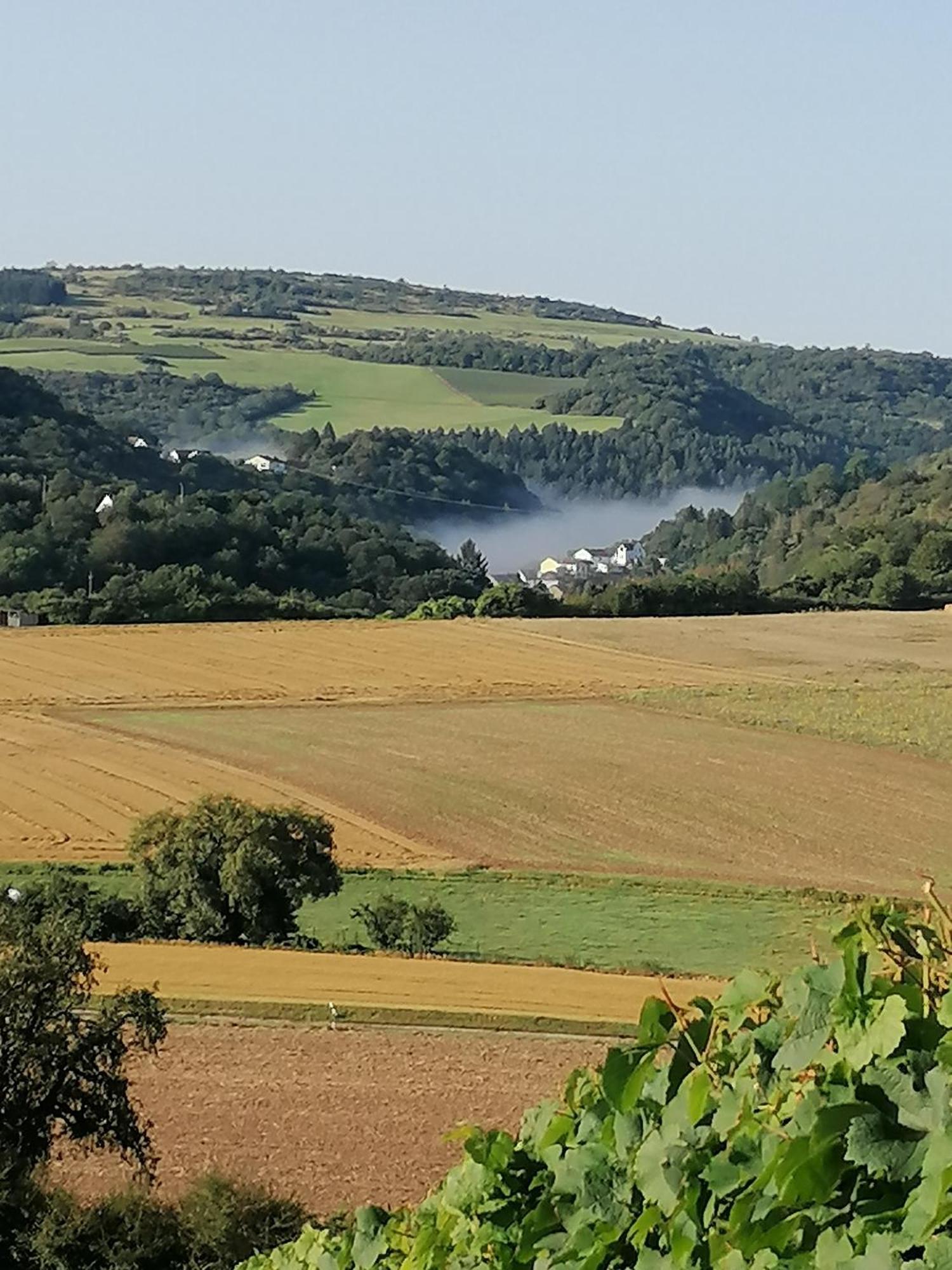 Haus Mit Seele Im Nahetal Weinsheim  Bagian luar foto